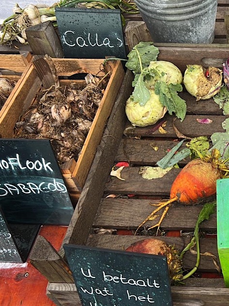 Verkaufsstand auf Texel mit regionalem und saisonalen Gemüse