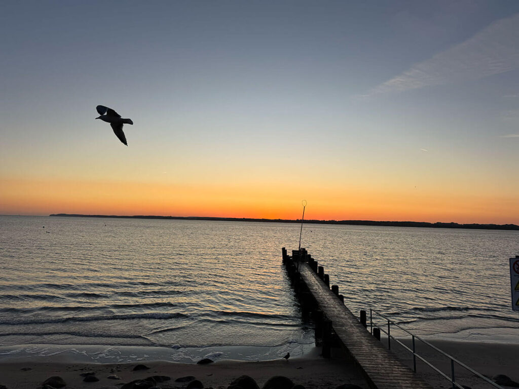 Sonnenaufgang Lücker Bucht mit Möwe