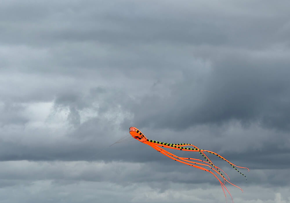 oranger Drachen vor grauem Himmel