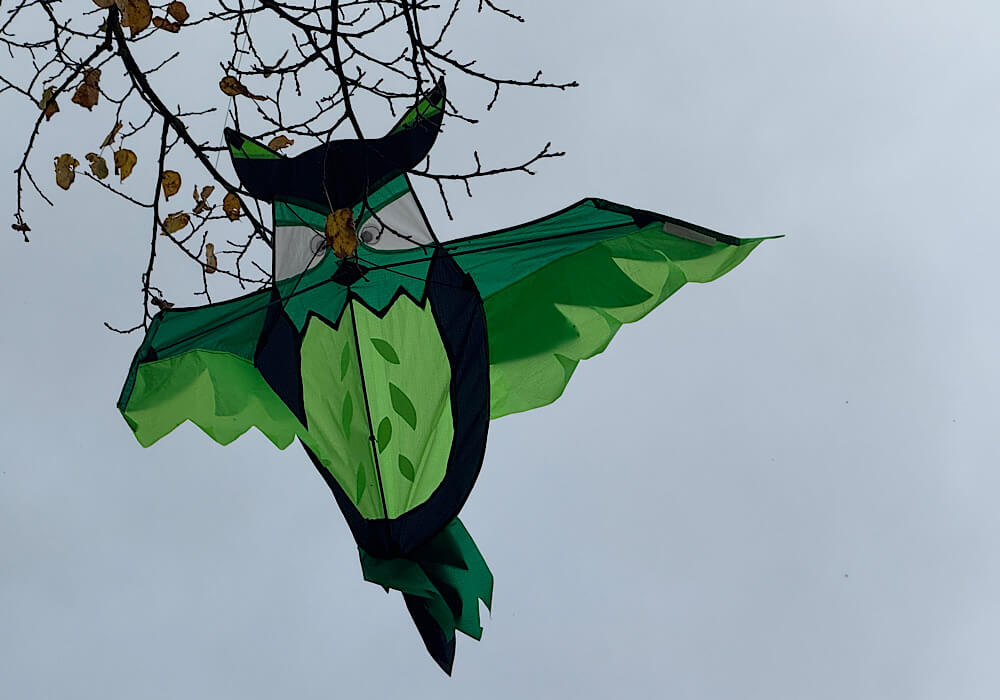 grüner Windvogel in Ästen gefangen