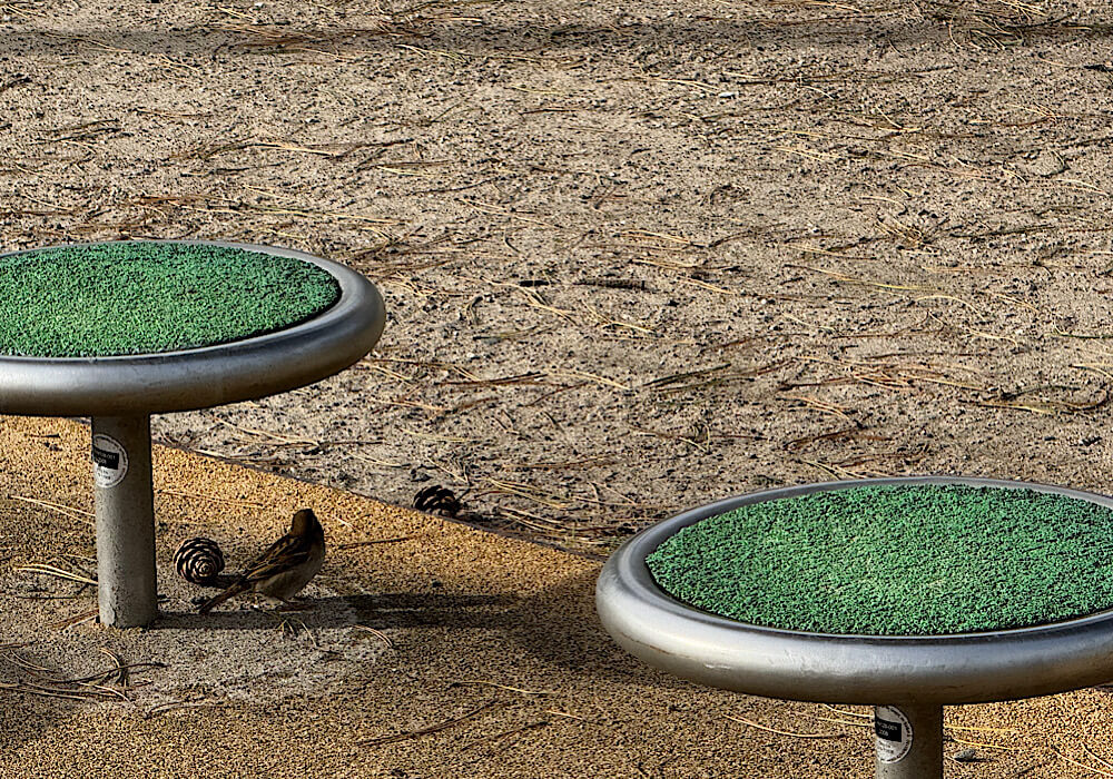 2 Spatzen unter einen Mini-Trampolin