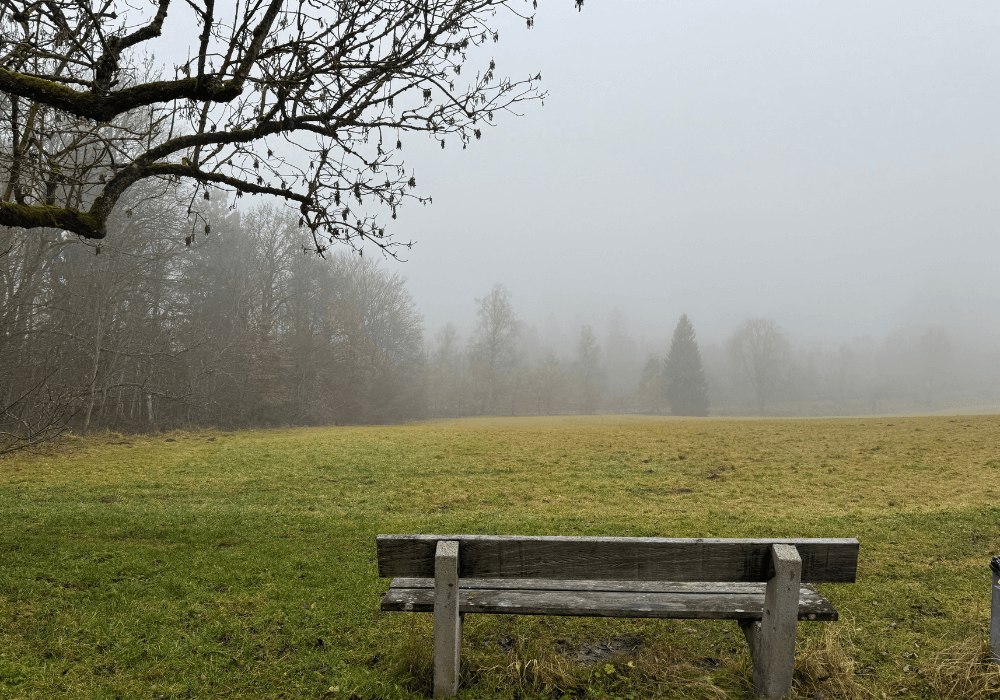 vernebelte, grüne Landschaft im Hintergrund und Bank im Vordergrund
